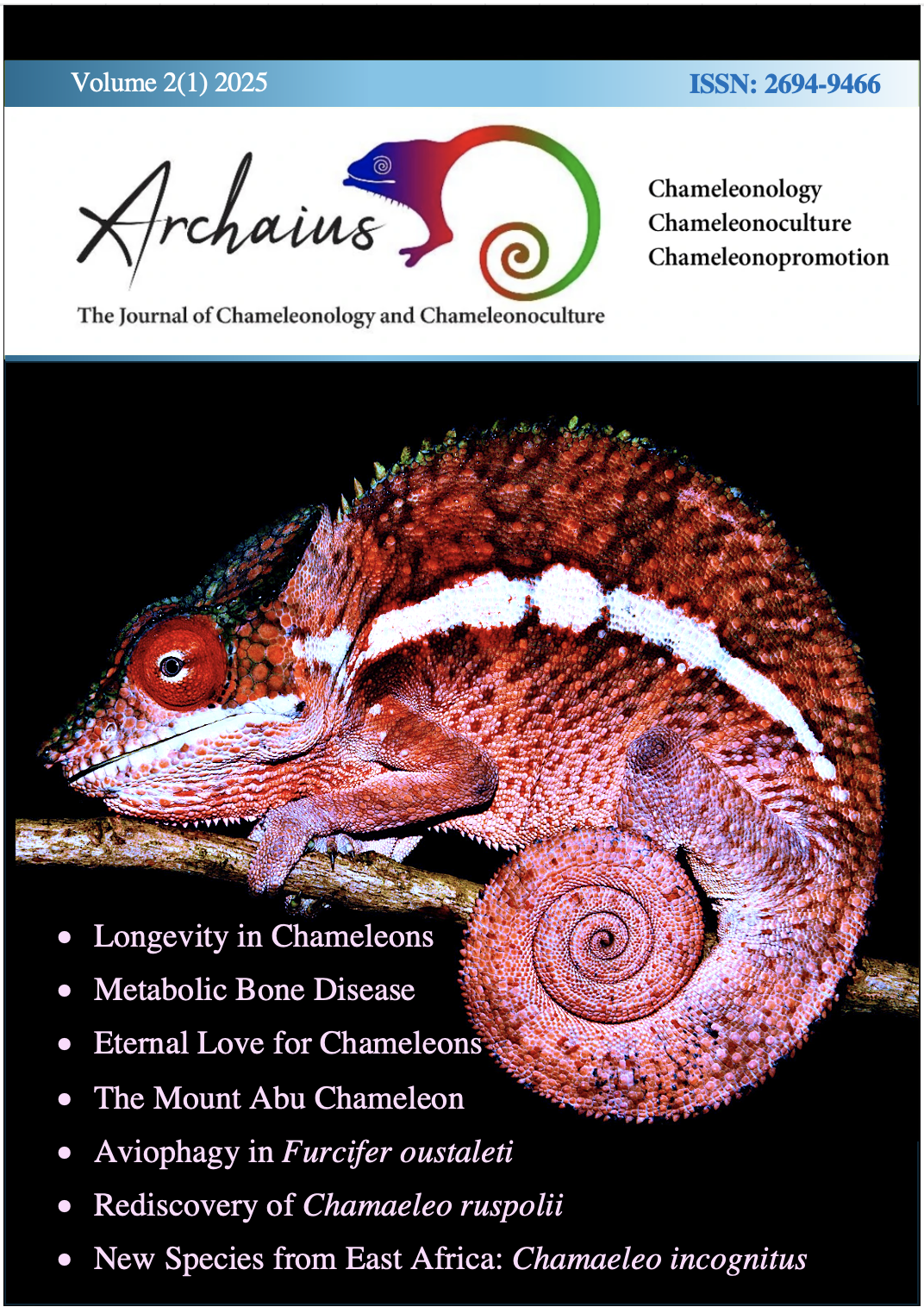  Did you know: The Parson’s Chameleon can live up to 23 years? The Motiv 